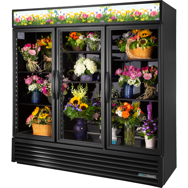 True - GDM-72FC-HC-TSL01
